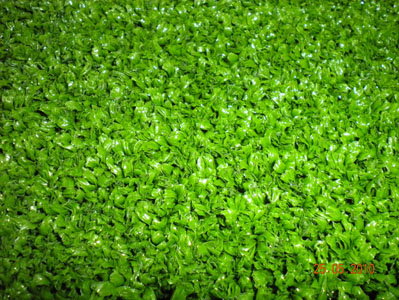 <b>Hockey Turf/ Lacrosse Turf (VT-HL-131)</b>