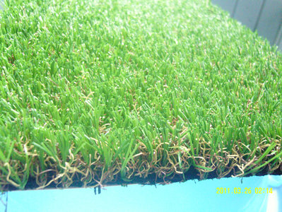 <b>Landscaping Turf</b>