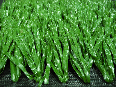 Multipurpose grass (VT-MG50-002)